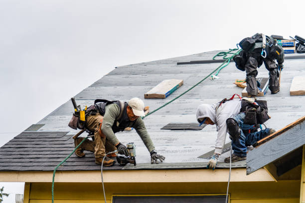 Professional Gutter Installation technician working in Robeline, LA